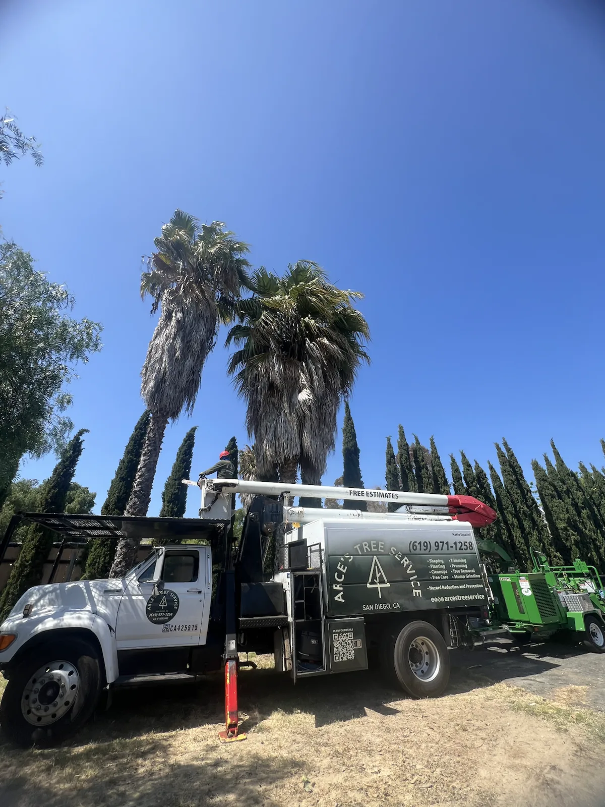 Arce's Spring Valley Tree Service project 3