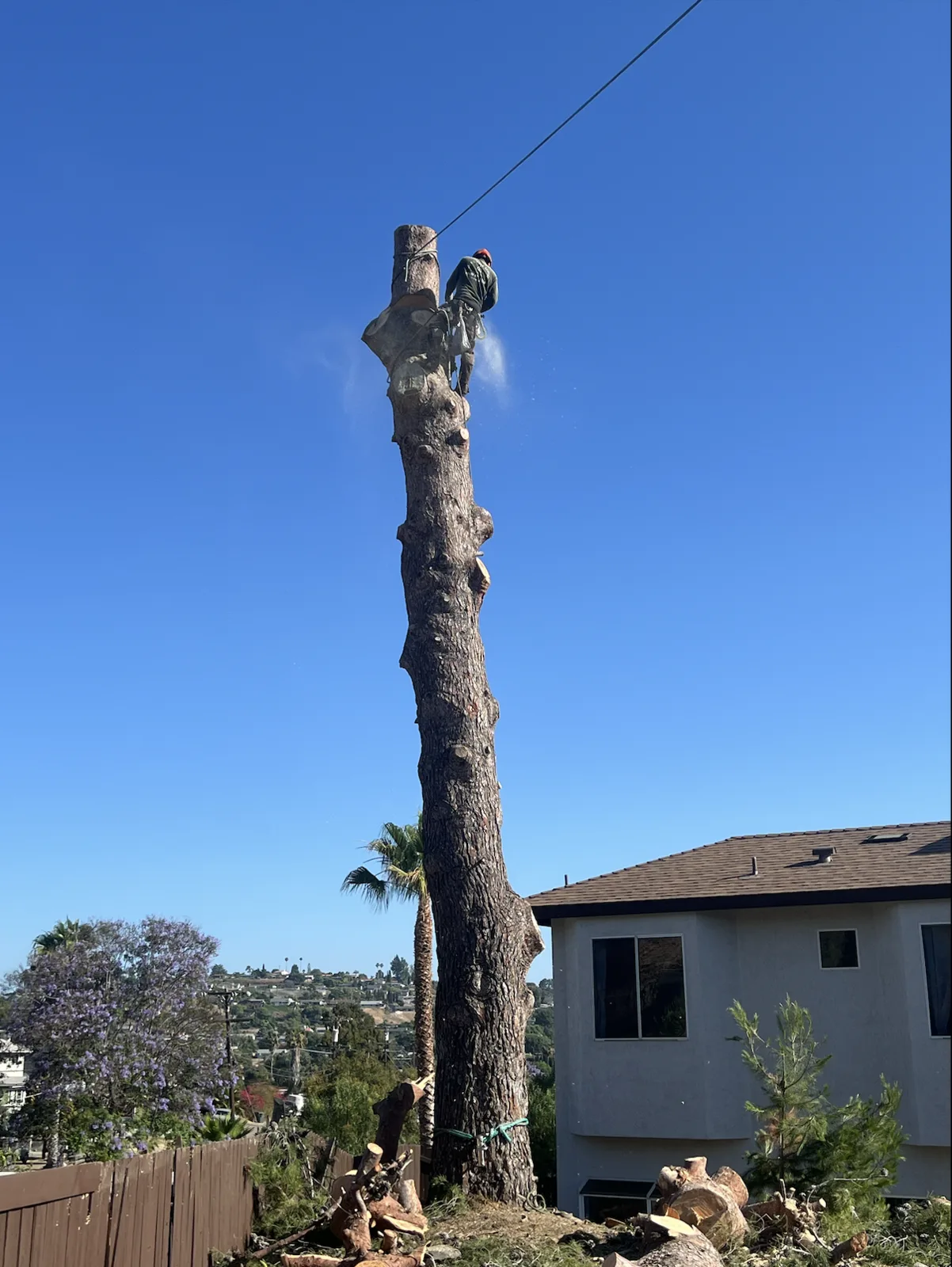 Arce's Spring Valley Tree Service project 10