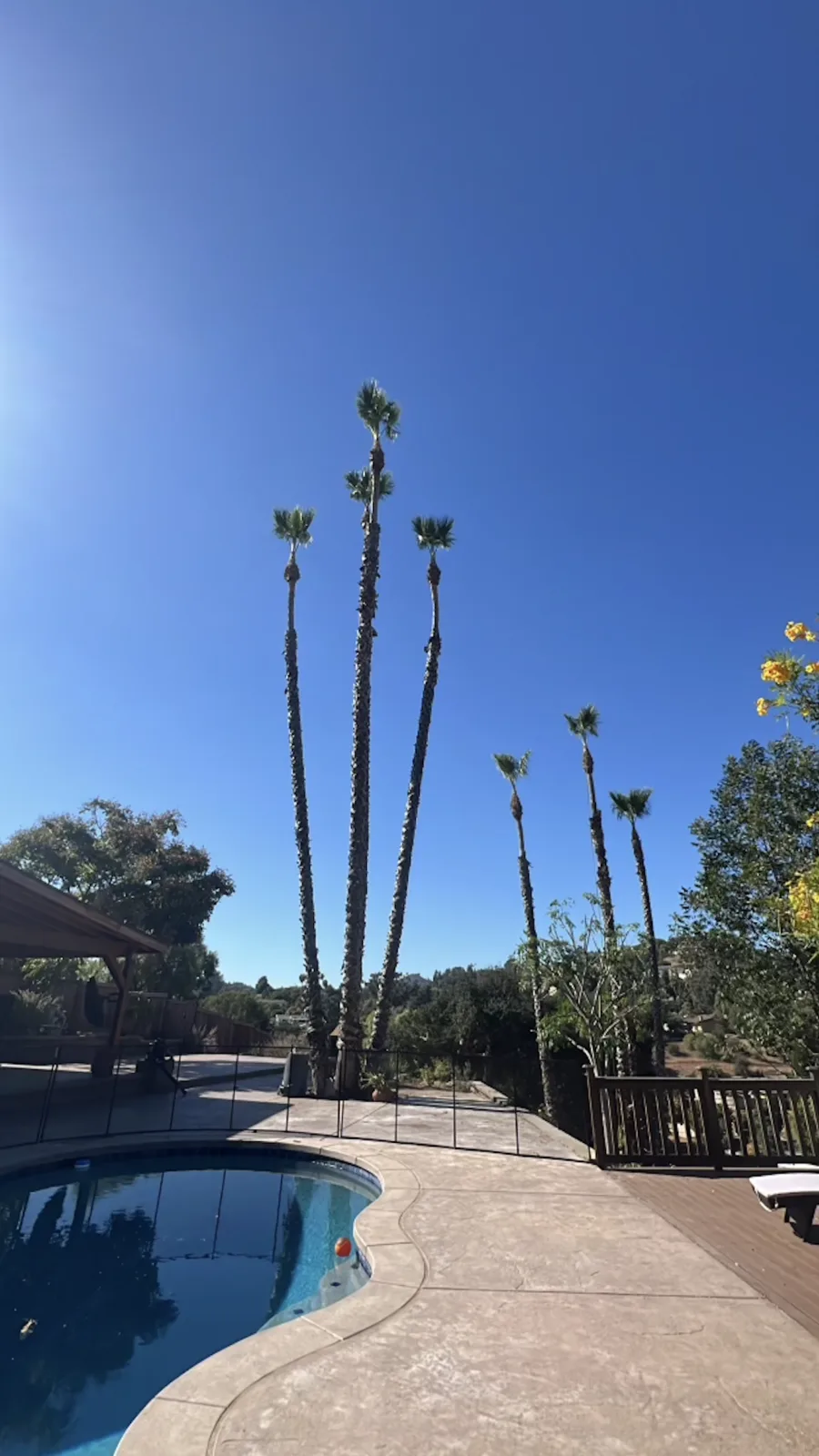Arce's Spring Valley Tree Service project 15