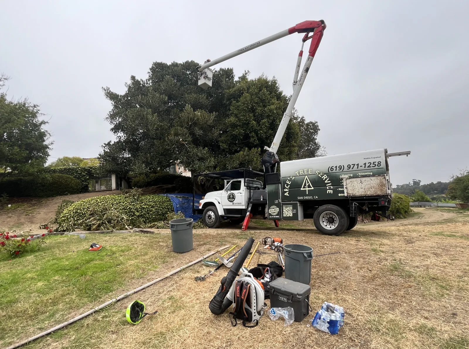 Arce's Spring Valley Tree Service project 26