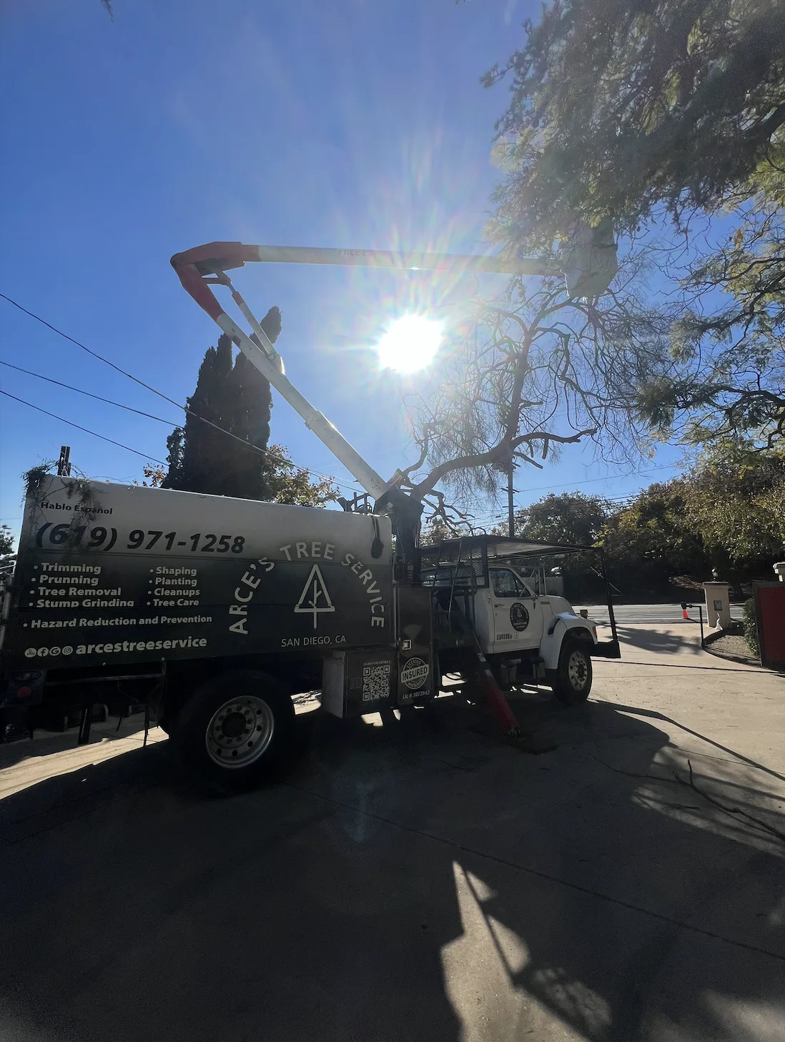 Arce's Spring Valley Tree Service project 29