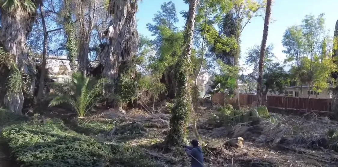 Arce's Spring Valley Tree Service project 36